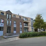 Huur 2 slaapkamer appartement in Hoeselt