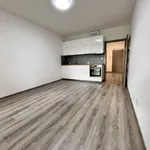 Rent 1 bedroom apartment in Olomouc