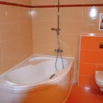 Rent 2 bedroom apartment of 48 m² in Jihlava