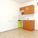 Rent 1 bedroom apartment of 19 m² in Ústí nad Labem