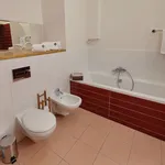 Pronajměte si 1 ložnic/e byt o rozloze 46 m² v Prague