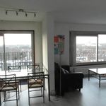 Grote Beer, Amstelveen - Amsterdam Apartments for Rent