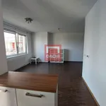 Rent 1 bedroom apartment of 43 m² in Olomouc