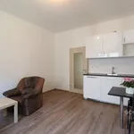 Rent 2 bedroom apartment of 40 m² in Capital City of Prague