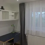 Miete 4 Schlafzimmer wohnung von 35 m² in Heidelberg