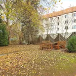 Rent 4 bedroom apartment of 100 m² in Chemnitz