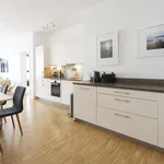 Rent 2 bedroom apartment of 80 m² in berlin