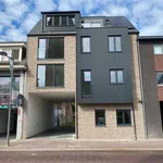 Huur 1 slaapkamer appartement in Puurs-Sint-Amands