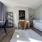 Rent a room in brussels