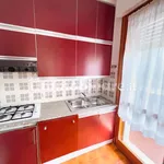 4-room flat via Kanotele 7, Centro, Gallio