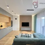 Rent 2 bedroom apartment of 43 m² in Łódź