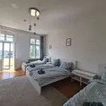 Rent 1 bedroom apartment in berlin