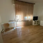 Rent 4 bedroom apartment of 120 m² in Forlì