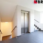 Rent 1 bedroom apartment of 28 m² in Brno