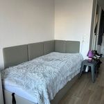 Miete 1 Schlafzimmer wohnung von 17 m² in Bremen