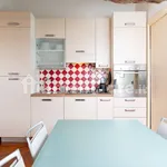 Rent 1 bedroom apartment of 45 m² in Turin