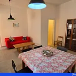 Rent 4 bedroom apartment of 60 m² in Maratea