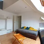 Louez une chambre de 300 m² à brussels