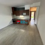 Rent 1 bedroom apartment of 33 m² in Ostrava