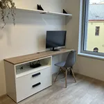 Studio of 20 m² in Prague