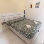 Rent 1 bedroom apartment in Rome