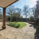 Cottage to rent in Baynards, Rudgwick, Horsham RH12