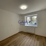 Rent 2 bedroom apartment in Hodonín