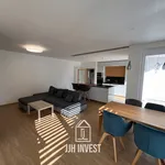 Rent 1 bedroom house of 150 m² in Capital City of Prague