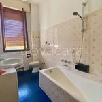 Rent 4 bedroom apartment of 72 m² in Bologna