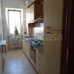 Rent 1 bedroom apartment of 45 m² in Rho