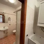 Affitto 5 camera casa di 110 m² in Sesto Fiorentino