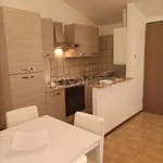 Rent 2 bedroom apartment of 50 m² in Modena