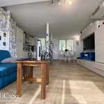 Rent 3 bedroom apartment of 80 m² in Pisa