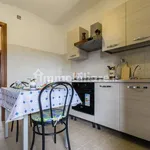 Rent 1 bedroom apartment of 40 m² in Turin