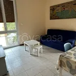 Rent 1 bedroom apartment of 110 m² in Novara