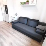 Rent 1 bedroom apartment of 23 m² in Warsaw