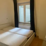  appartement avec 1 chambre(s) en location à Brussels