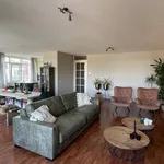 Rent 2 bedroom apartment of 140 m² in gouda-woerden