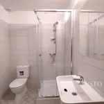 Rent 1 bedroom apartment of 20 m² in Čížová