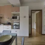 Rent 1 bedroom apartment of 45 m² in bologna