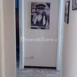 Rent 3 bedroom apartment of 77 m² in Chieti