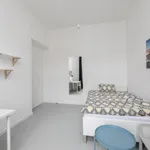 Rent 4 bedroom apartment in Prague