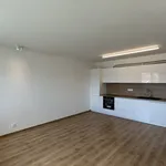 Pronajměte si 3 ložnic/e byt o rozloze 69 m² v České Budějovice