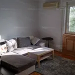 Rent 3 bedroom apartment of 66 m² in Tatabánya