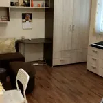 Rent 1 bedroom apartment of 45 m² in Plovdiv