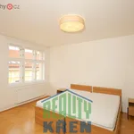 Rent 3 bedroom apartment of 70 m² in Praha