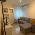 Rent 2 bedroom apartment of 50 m² in madrid