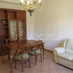 Rent 4 bedroom apartment of 90 m² in Bologna