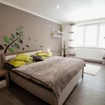 Rent 3 bedroom apartment of 89 m² in Prague