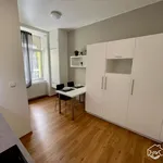 Rent 1 bedroom apartment in Brno